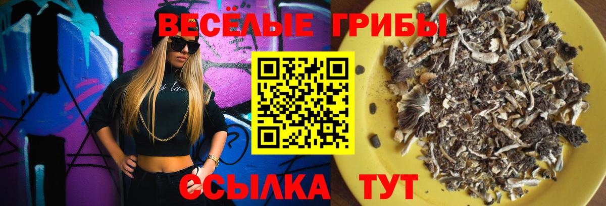 Избербаш  Псилоцибиновые грибы мухоморы  Вход с VPN 