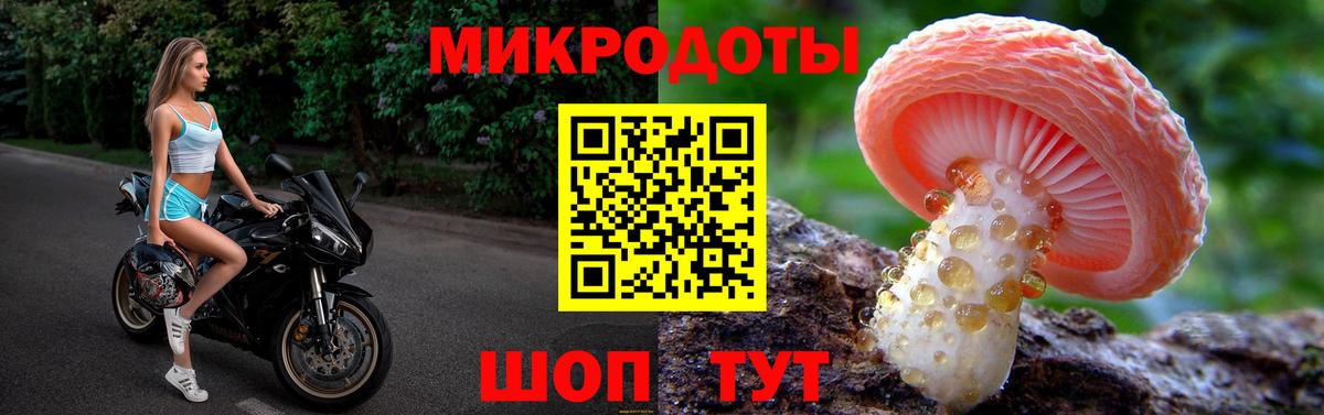 Галлюциногенные грибы мухоморы Избербаш
